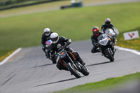 Lower Group Orange Bikes